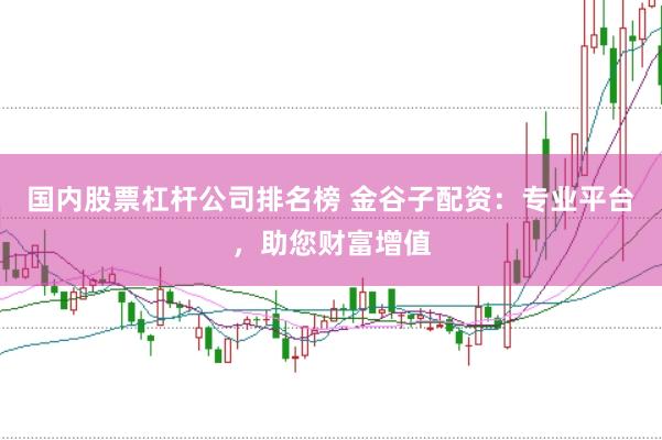 国内股票杠杆公司排名榜 金谷子配资：专业平台，助您财富增值