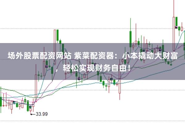 场外股票配资网站 紫菜配资器：小本撬动大财富，轻松实现财务自由！