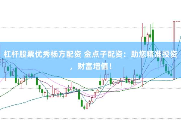 杠杆股票优秀杨方配资 金点子配资：助您精准投资，财富增值！