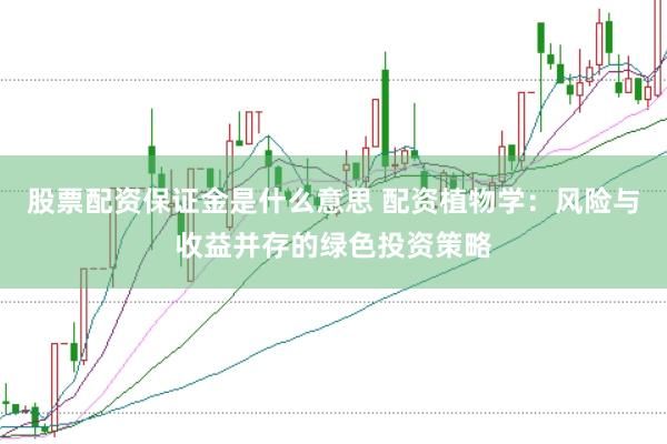 股票配资保证金是什么意思 配资植物学：风险与收益并存的绿色投资策略