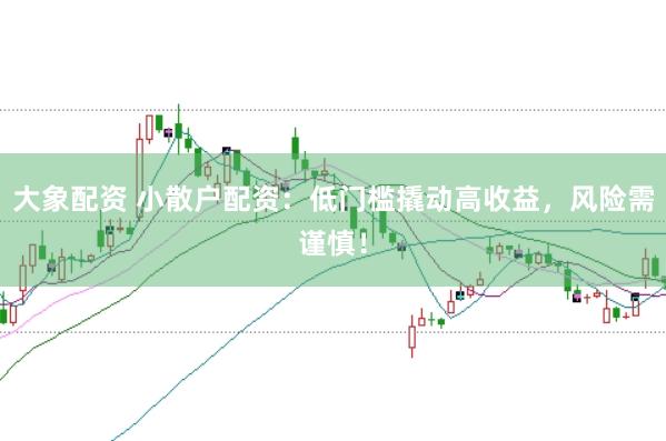 大象配资 小散户配资：低门槛撬动高收益，风险需谨慎！