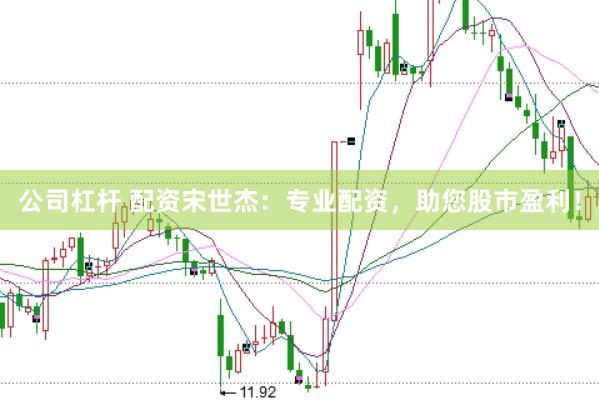 公司杠杆 配资宋世杰：专业配资，助您股市盈利！