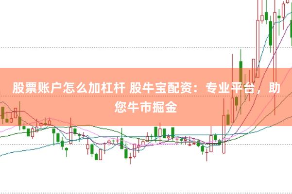 股票账户怎么加杠杆 股牛宝配资：专业平台，助您牛市掘金