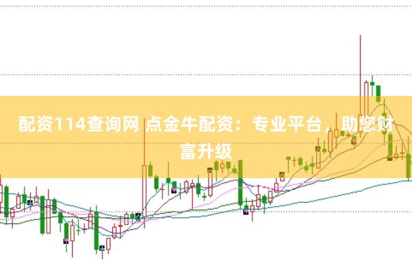 配资114查询网 点金牛配资：专业平台，助您财富升级