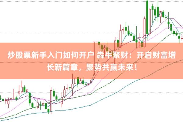 炒股票新手入门如何开户 犇牛聚财：开启财富增长新篇章，聚势共赢未来！
