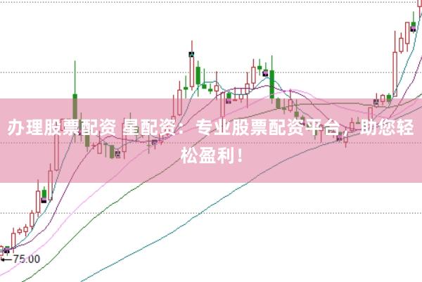 办理股票配资 星配资：专业股票配资平台，助您轻松盈利！