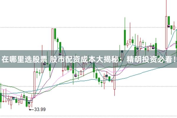 在哪里选股票 股市配资成本大揭秘：精明投资必看！
