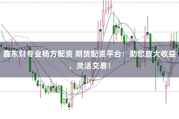 鑫东财专业杨方配资 期货配资平台：助您放大收益，灵活交易！
