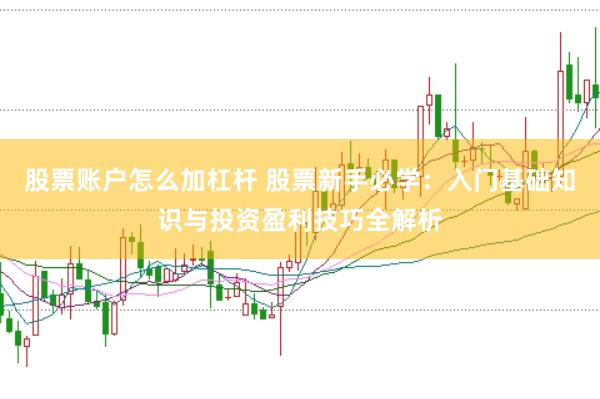 股票账户怎么加杠杆 股票新手必学：入门基础知识与投资盈利技巧全解析