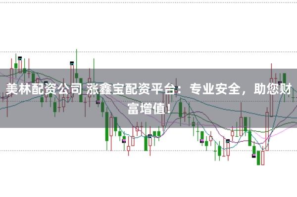 美林配资公司 涨鑫宝配资平台：专业安全，助您财富增值！
