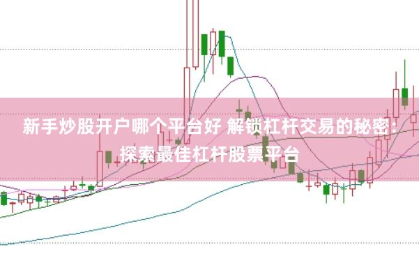 新手炒股开户哪个平台好 解锁杠杆交易的秘密：探索最佳杠杆股票平台
