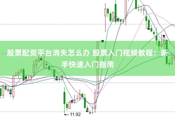 股票配资平台消失怎么办 股票入门视频教程：新手快速入门指南