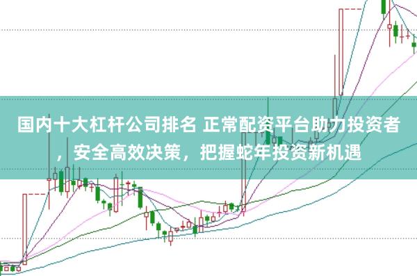 国内十大杠杆公司排名 正常配资平台助力投资者，安全高效决策，把握蛇年投资新机遇