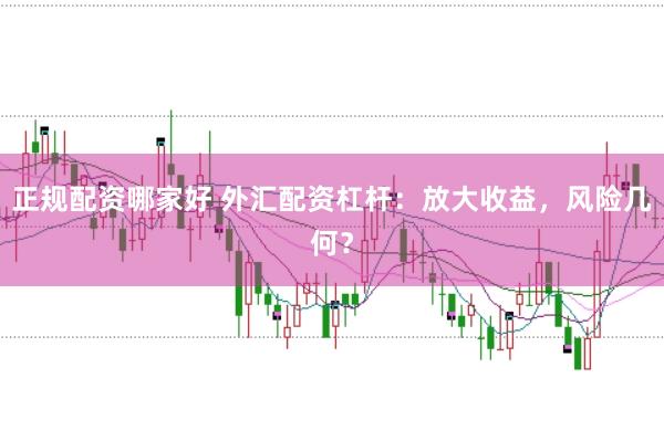 正规配资哪家好 外汇配资杠杆：放大收益，风险几何？