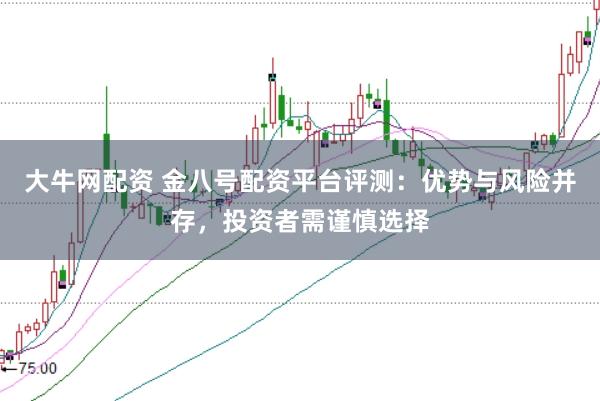大牛网配资 金八号配资平台评测：优势与风险并存，投资者需谨慎选择