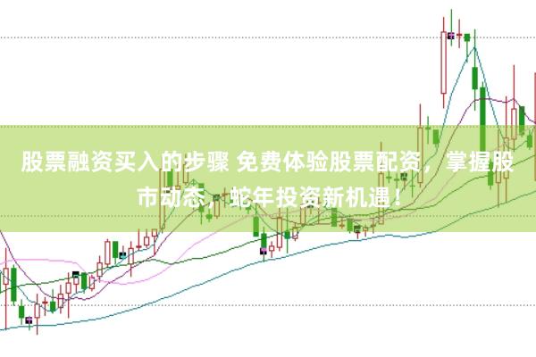 股票融资买入的步骤 免费体验股票配资，掌握股市动态，蛇年投资新机遇！