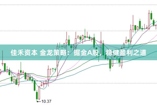 佳禾资本 金龙策略：掘金A股，稳健盈利之道