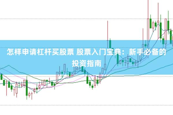 怎样申请杠杆买股票 股票入门宝典：新手必备的投资指南