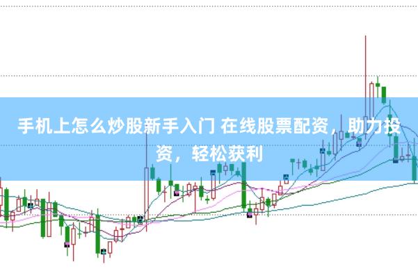 手机上怎么炒股新手入门 在线股票配资，助力投资，轻松获利